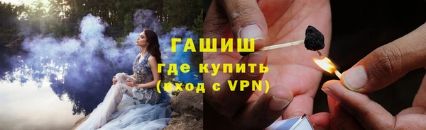 гидра Абаза