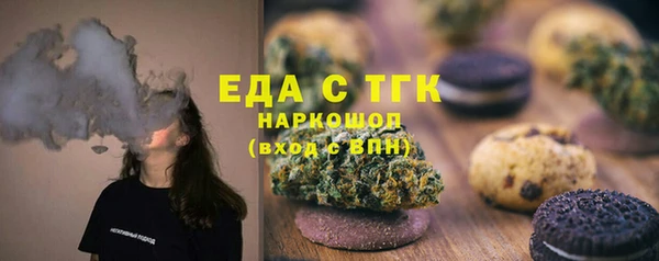 гидра Абаза