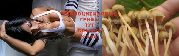 прущий лед Алексеевка