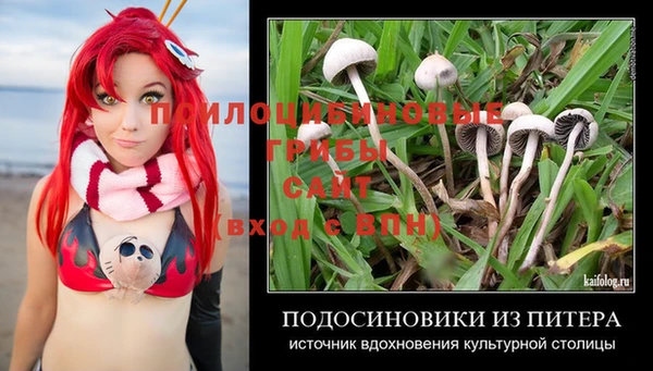 гидра Абаза