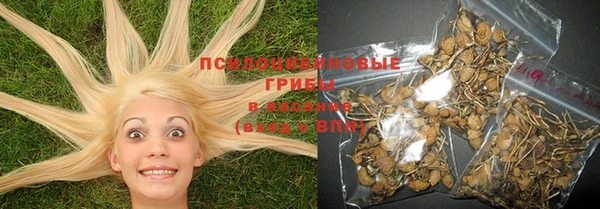 прущая мука Абинск