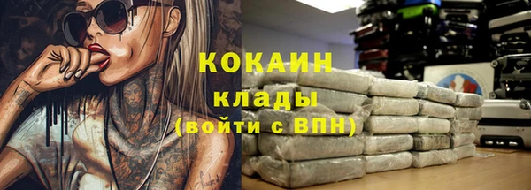 ешки Алзамай