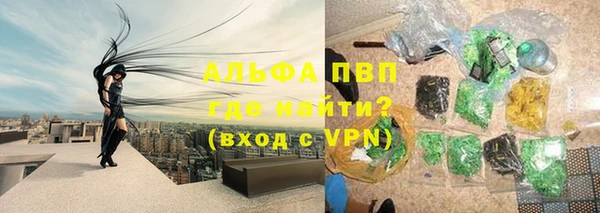 гидра Абаза