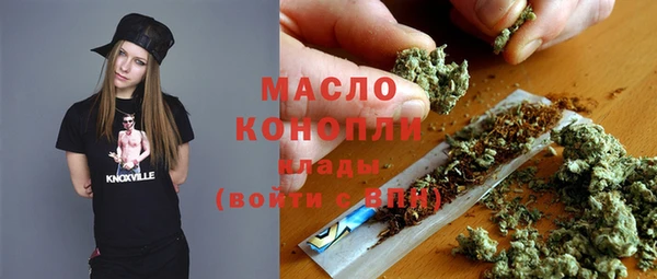 гидра Абаза